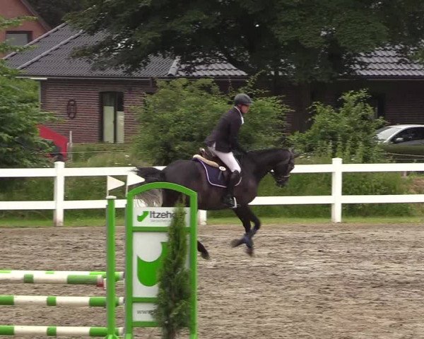 Reitturnier Mildstedt 2021