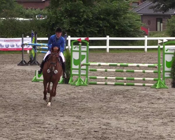 Reitturnier Mildstedt 2021
