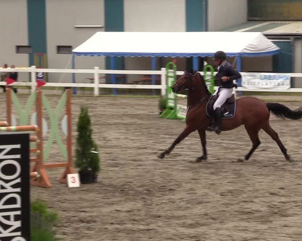 Reitturnier Mildstedt 2021