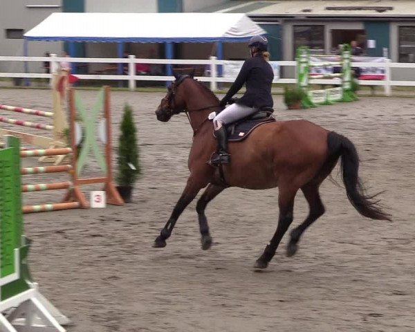 Reitturnier Mildstedt 2021