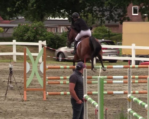 Reitturnier Mildstedt 2021