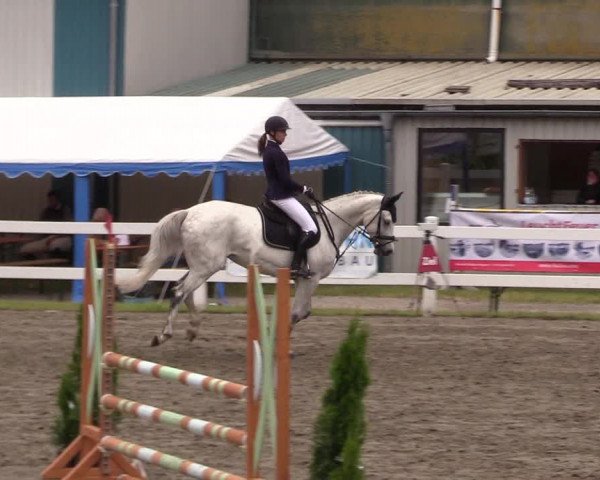 Reitturnier Mildstedt 2021