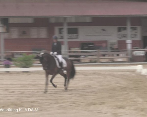Reitturnier Uder, Reitanlage Kobold 2021