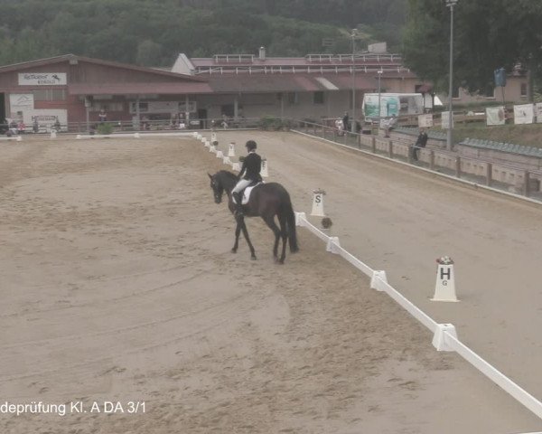 Reitturnier Uder, Reitanlage Kobold 2021