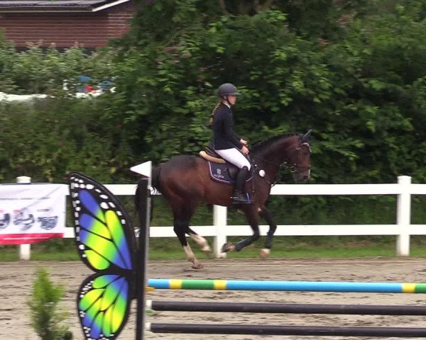 Reitturnier Mildstedt 2021