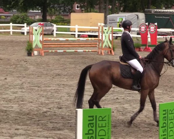 Reitturnier Mildstedt 2021