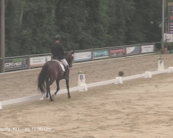 Reitturnier Uder, Reitanlage Kobold 2021
