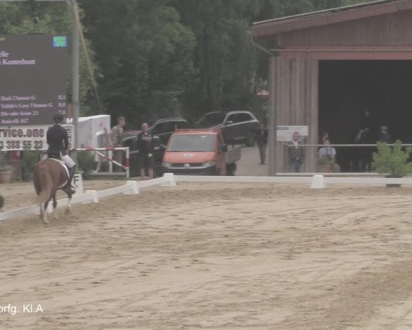 Reitturnier Uder, Reitanlage Kobold 2021