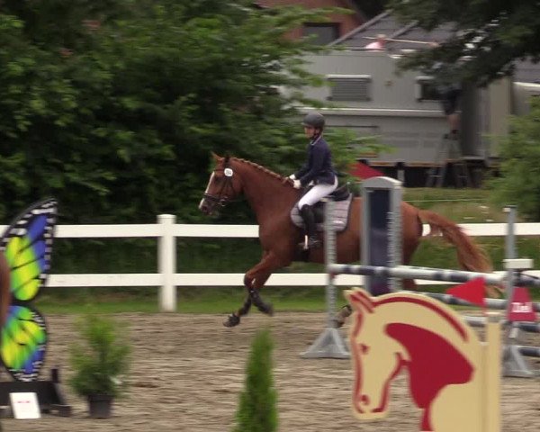 Reitturnier Mildstedt 2021