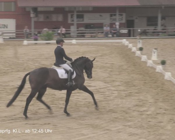 Reitturnier Uder, Reitanlage Kobold 2021