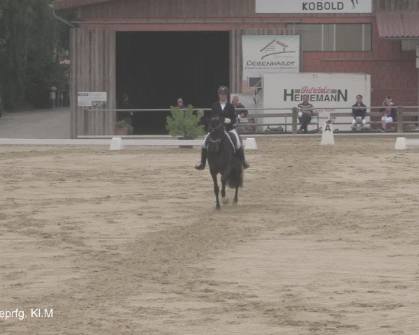 Reitturnier Uder, Reitanlage Kobold 2021