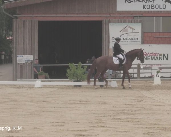 Reitturnier Uder, Reitanlage Kobold 2021