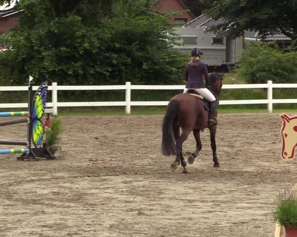 Reitturnier Mildstedt 2021
