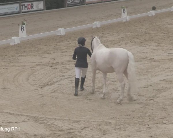 Reitturnier Uder, Reitanlage Kobold 2021