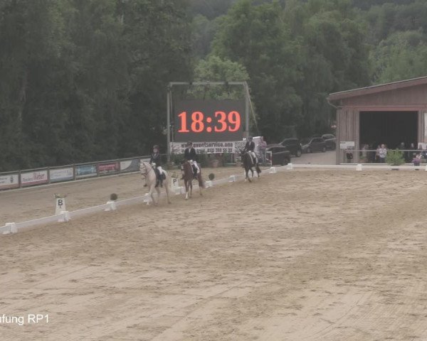Reitturnier Uder, Reitanlage Kobold 2021