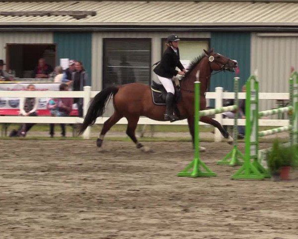 Reitturnier Mildstedt 2021
