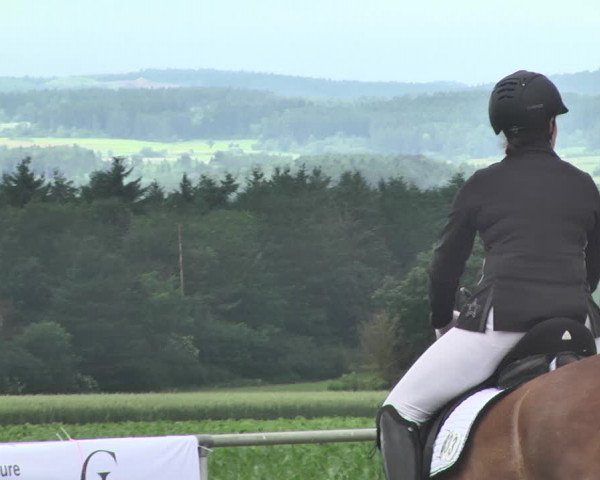 Reitturnier Jettingen 2021