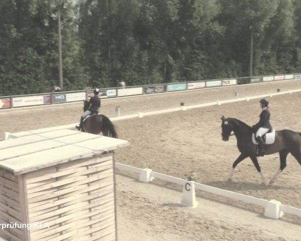 Reitturnier Uder, Reitanlage Kobold 2021