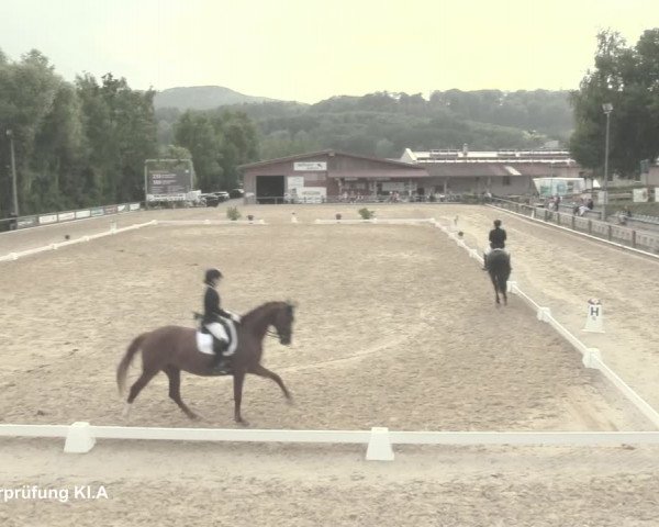 Reitturnier Uder, Reitanlage Kobold 2021