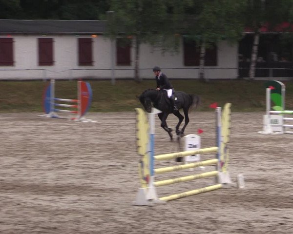 Reitturnier Lgl.-Oberhain, B95 2021