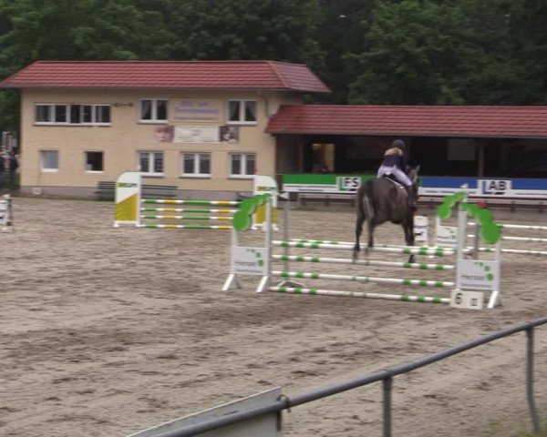 Reitturnier Lgl.-Oberhain, B95 2021