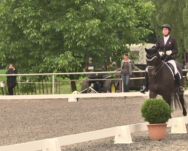 Reitturnier Jettingen 2021