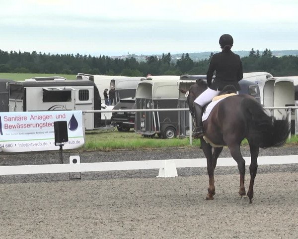 Reitturnier Jettingen 2021