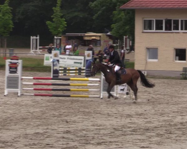 Reitturnier Lgl.-Oberhain, B95 2021