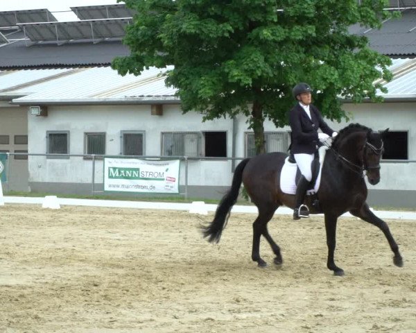 Reitturnier Bad Marienberg - OT Nisterau 2021
