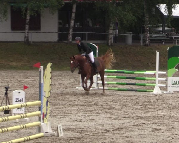 Reitturnier Lgl.-Oberhain, B95 2021