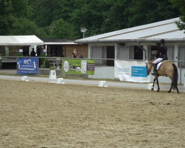 Reitturnier Bad Marienberg - OT Nisterau 2021