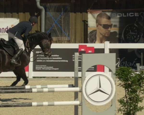 Springturnier Memmingen 2021