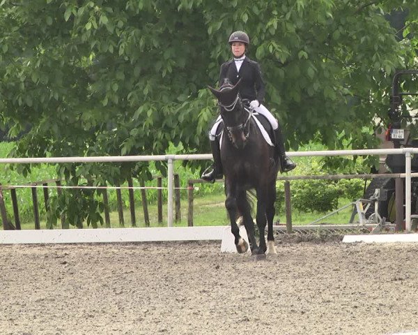 Reitturnier Jettingen 2021