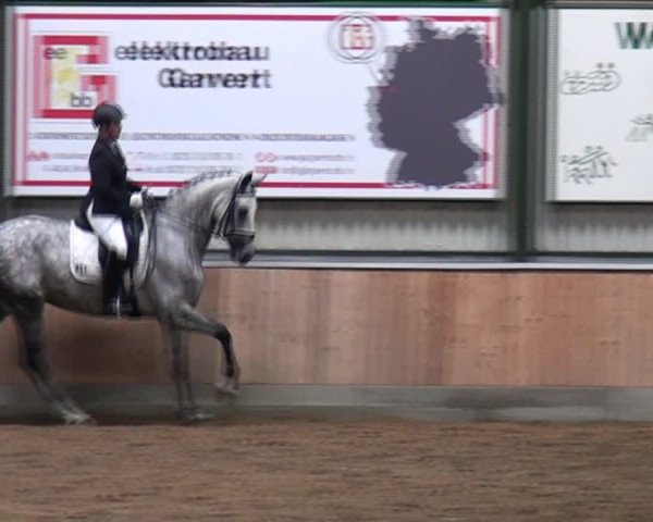 Reitturnier Rhede 2021