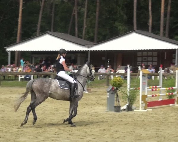 Reitturnier Rhede 2021