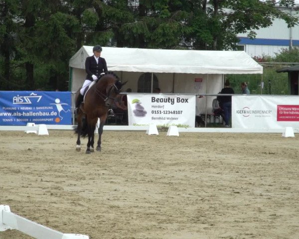 Reitturnier Bad Marienberg - OT Nisterau 2021