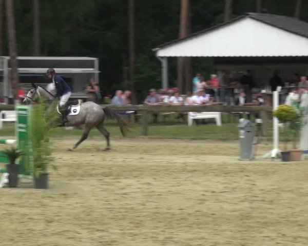 Reitturnier Rhede 2021