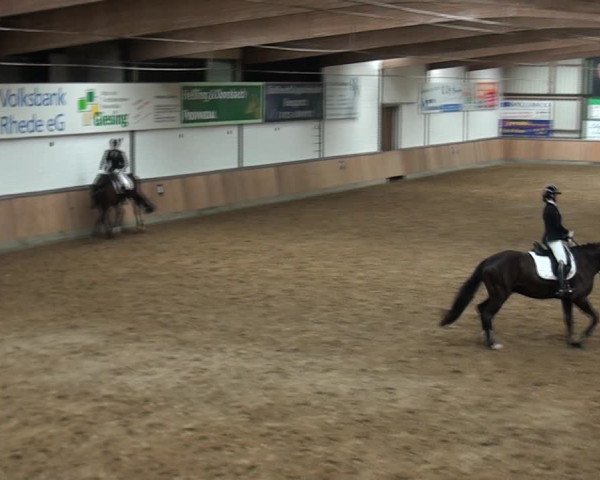 Reitturnier Rhede 2021