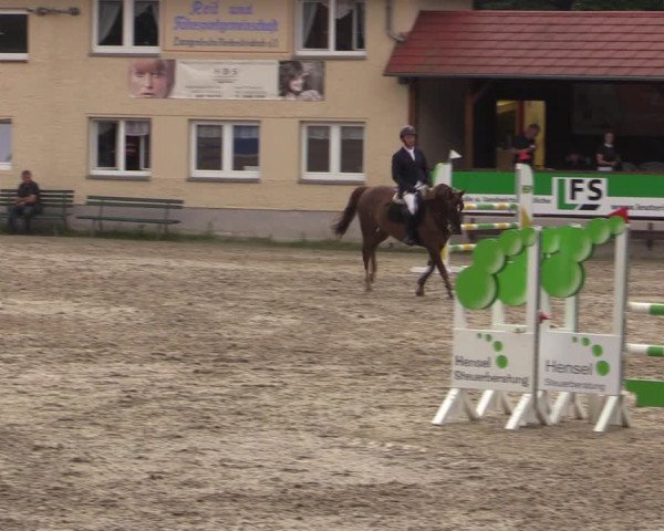 Reitturnier Lgl.-Oberhain, B95 2021