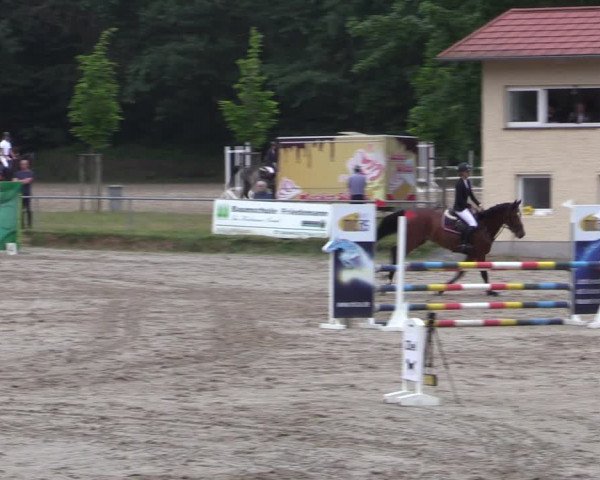 Reitturnier Lgl.-Oberhain, B95 2021