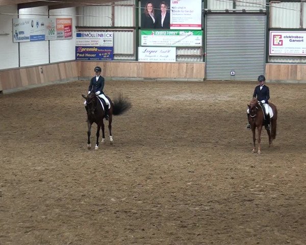 Reitturnier Rhede 2021