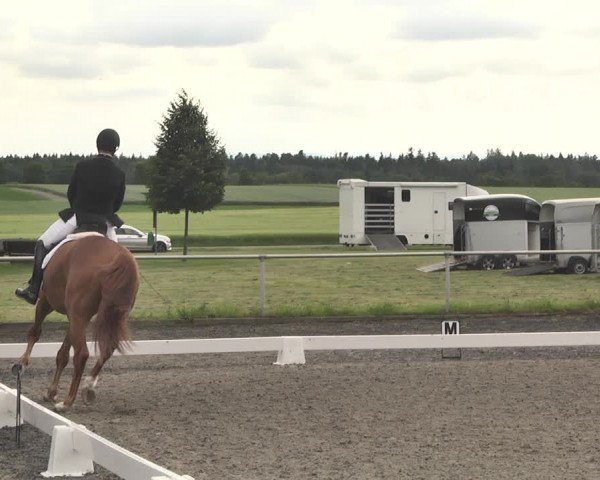 Reitturnier Jettingen 2021