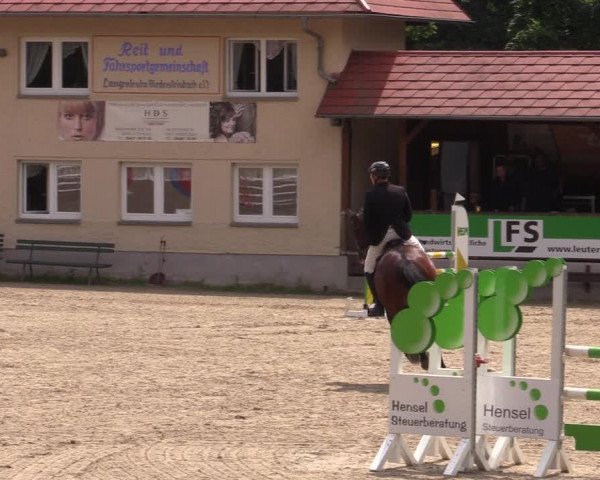 Reitturnier Lgl.-Oberhain, B95 2021