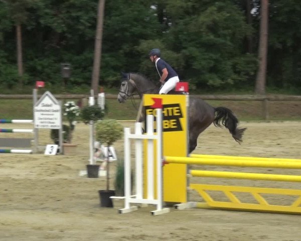 Reitturnier Rhede 2021