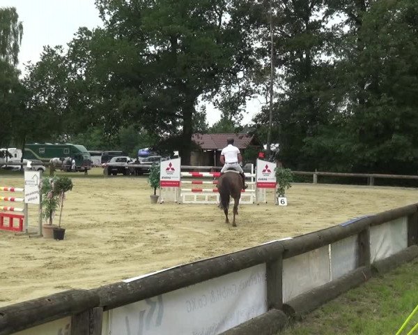 Reitturnier Rhede 2021