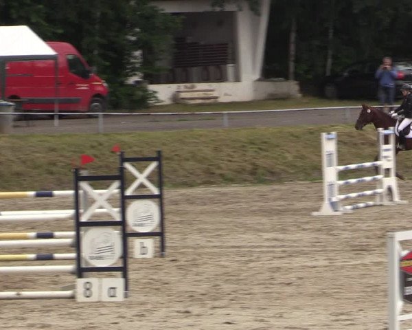 Reitturnier Lgl.-Oberhain, B95 2021