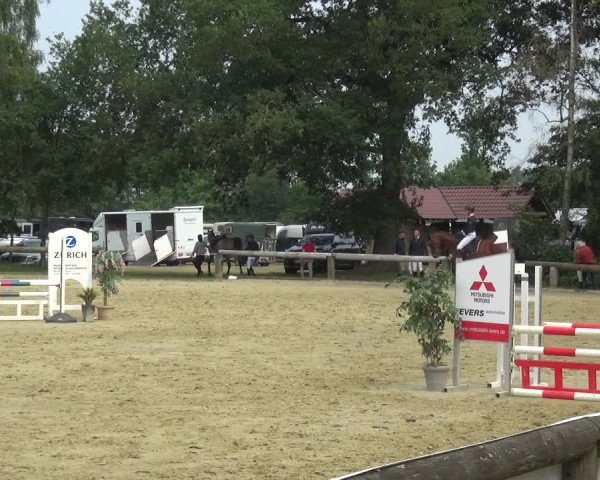 Reitturnier Rhede 2021