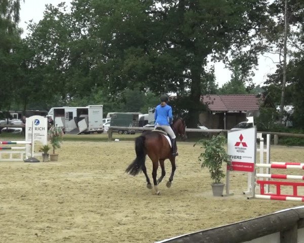 Reitturnier Rhede 2021