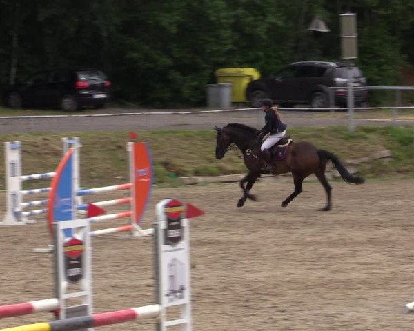 Reitturnier Lgl.-Oberhain, B95 2021