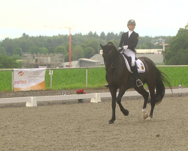 Reitturnier Jettingen 2021